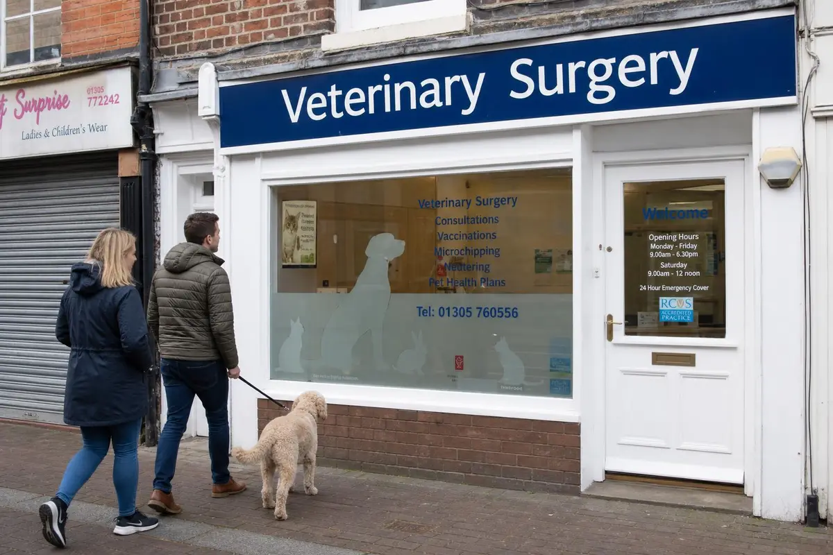 How to Choose the Right UK Vet Practice in 2026: 10 Things That Actually Matter