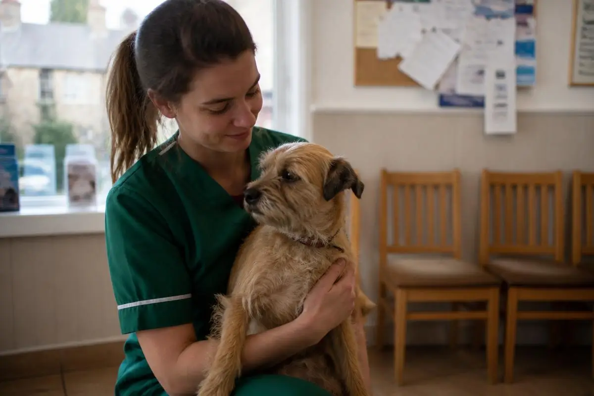 VetPartners Prices UK 2026: Costs Across 433 Practices